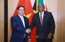 Nâng cấp quan hệ Việt Nam – Nam Phi lên Đối tác Chiến lược