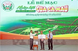 Ấn tượng Ngày hội Cua Cà Mau lần thứ II năm 2025