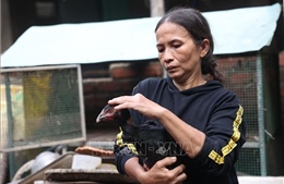 Đắk Lắk &#39;oằn mình&#39; sau cơn lũ