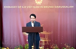 Brunei coi Việt Nam là đối tác đáng tin cậy trong ASEAN