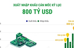 Xuất nhập khẩu cán mốc kỷ lục 800 tỷ USD