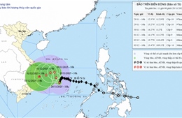 Bão số 15 giảm cấp và suy yếu dần
