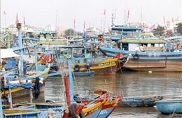 Lâm Đồng triển khai đồng loạt phương án ứng phó bão số 15