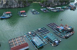 Chấn chỉnh nuôi thủy sản lồng bè, đảm bảo an toàn giao thông đường thủy