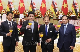 Quốc vương Brunei kết thúc chuyến thăm cấp Nhà nước tới Việt Nam