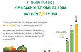 11 tháng năm 2025: Xuất khẩu rau quả đạt hơn 7,8 tỷ USD