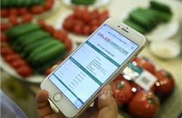 Truy xuất nguồn gốc &#39;kẹt&#39; ở nền dữ liệu