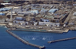 Nhật Bản bắt đầu đợt xả nước thải nhiễm xạ lần thứ 17 ra biển