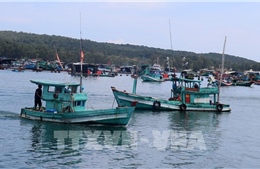 Khắc phục thẻ vàng IUU: An Giang xử lý nghiêm vi phạm