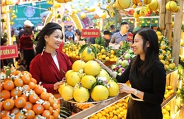 Ấn tượng vẻ đẹp vùng cây ăn quả của Bắc Ninh