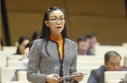 Vai trò dẫn dắt và giám sát của Nhà nước khi phát triển điện hạt nhân mô-đun nhỏ