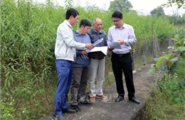 Phú Thọ gỡ khó bảo đảm tiến độ giải phóng mặt bằng tuyến đường sắt tỷ USD