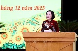 Tuyên Quang cần tháo gỡ các điểm nghẽn để phát triển toàn diện kinh tế - xã hội