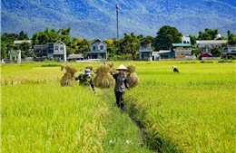 Nông nghiệp và môi trường trên hành trình kiến tạo kinh tế xanh