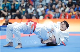 SEA Games 33: Dồn dập tin vui đến với Thể thao Việt Nam