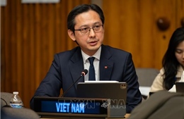 Việt Nam trân trọng sự hỗ trợ kịp thời của Quỹ hỗ trợ khẩn cấp trung ương thuộc LHQ