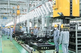 Nhân rộng nhiều mô hình điểm về năng suất, chất lượng