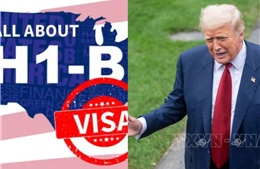 Chính sách thị thực H-1B của Tổng thống Trump lại bị kiện