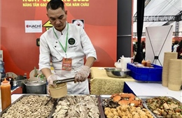 Ngày của Phở 2025: Nâng tầm gạo Việt - Lan tỏa năm châu