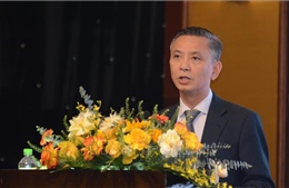 Tăng cường năng lực thực thi pháp luật bảo hộ quyền tác giả