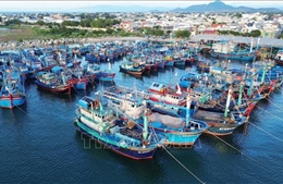 Khôi phục nuôi trồng thủy sản sau mưa lũ lịch sử tại Khánh Hoà