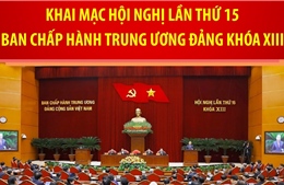 Hội nghị lần thứ 15 Ban Chấp hành Trung ương Đảng khóa XIII