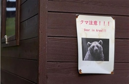 Camera AI - công cụ then chốt giúp ngăn ngừa động vật nguy hiểm