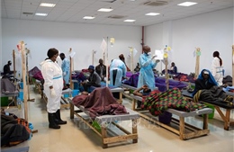 Dịch tả gia tăng đột biến ở châu Phi