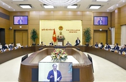 Bảo vệ quyền lợi người tiêu dùng trên không gian mạng