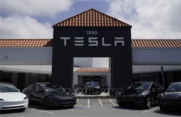 Mỹ điều tra về thiết kế cửa xe điện Tesla