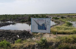 Hoàn thiện khung pháp lý cho Khu thương mại tự do TP. Hồ Chí Minh