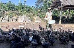 Từ đặc sản bản địa đến sản phẩm du lịch cộng đồng