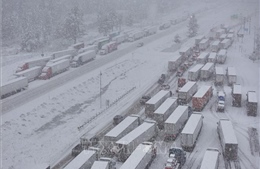 Điểm tin kinh tế thế giới nổi bật ngày 7/1/2026