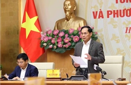 Hội nghị trực tuyến tổng kết công tác năm 2025 của Ban Chỉ đạo 389 quốc gia