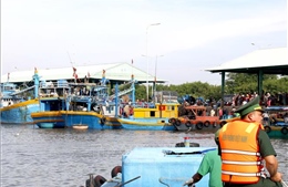 Lâm Đồng kiểm soát không để tàu cá không đủ điều kiện xuất bến