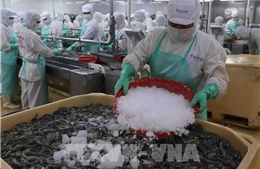 Lộ trình truy xuất nguồn gốc nông, lâm, thủy sản đến năm 2035