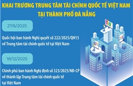 Khai trương Trung tâm tài chính quốc tế Việt Nam tại thành phố Đà Nẵng