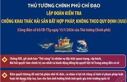 Thủ tướng Chính phủ chỉ đạo lập đoàn kiểm tra chống khai thác IUU