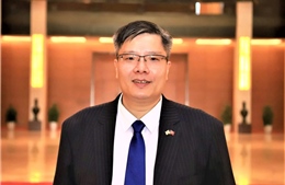 Kỳ vọng về sự phát triển bền vững trong nhiệm kỳ mới