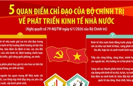 Năm quan điểm chỉ đạo của Bộ Chính trị về phát triển kinh tế nhà nước