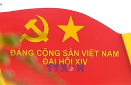 Tuổi trẻ Đà Nẵng sẵn sàng 'đón đầu' những quyết sách mới