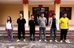 Khởi tố điều tra vụ án 'Tổ chức cho người khác ở lại Việt Nam trái phép'