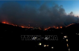 Cháy rừng nghiêm trọng ở Hàn Quốc