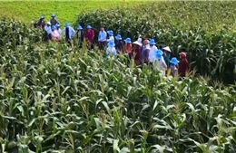 Đại hội XIV của Đảng: Nền tảng mới cho động lực tăng trưởng xanh