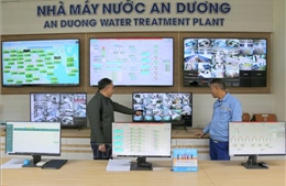 Nghị quyết số 79-NQ/TW: Bệ phóng để doanh nghiệp phát triển vững vàng