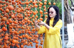 Khai mạc Chương trình Hoa mai anh đào chắp cánh thương hiệu Đà Lạt