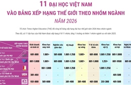 11 đại học Việt Nam vào bảng xếp hạng thế giới theo nhóm ngành