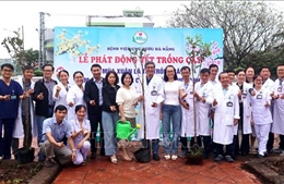 Tết trồng cây lan tỏa không gian xanh, tiếp sức tinh thần người bệnh ung thư