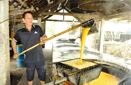 Làng nghề mật mía vào vụ Tết, nhiều hộ thu hàng trăm triệu đồng