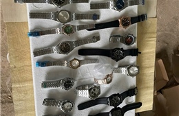 Hải quan phát hiện số lượng lớn đồng hồ nghi vi phạm sở hữu trí tuệ